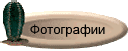 Фотографии