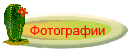 Фотографии